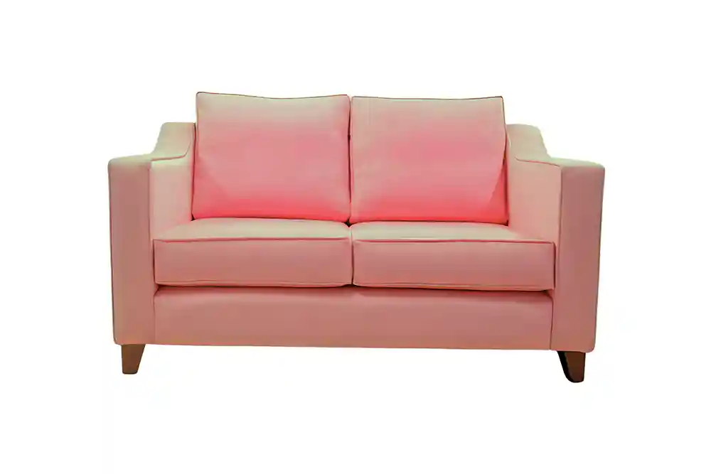 Logan 2 seater blush