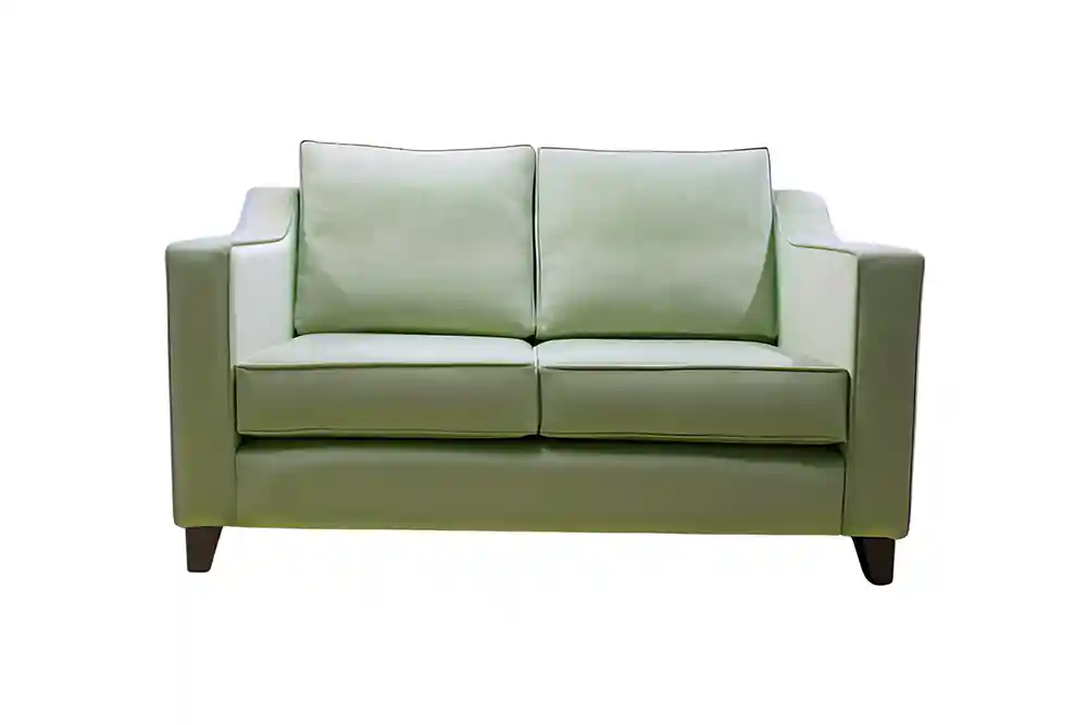 Logan 2 seater sagegreen
